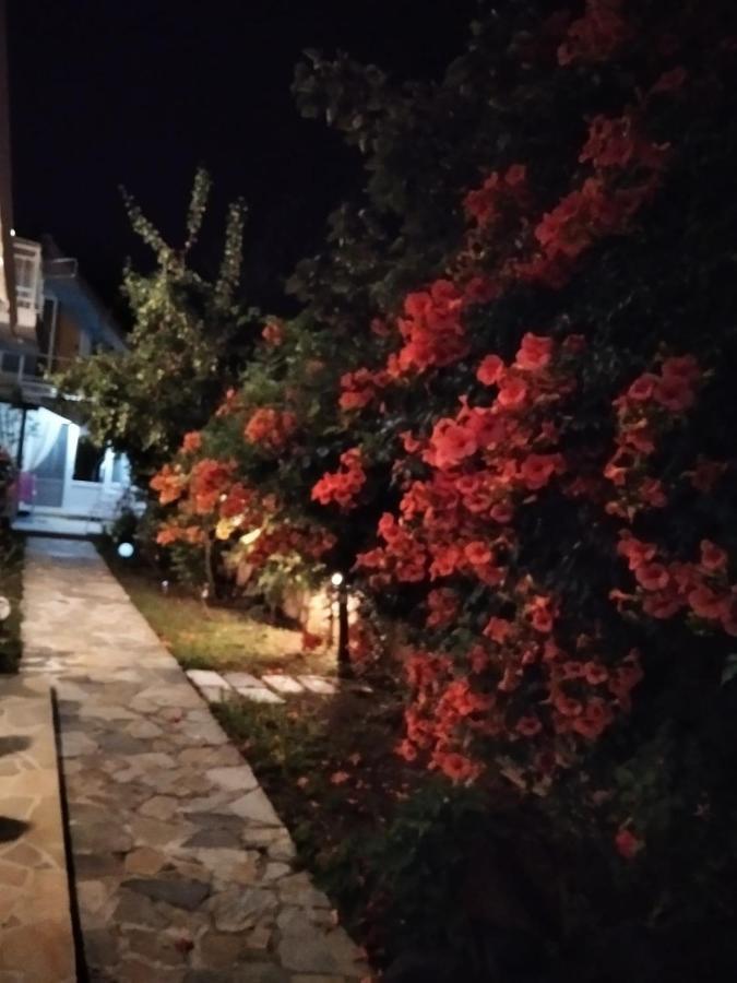 Villa Alekos Limenas  Exterior photo
